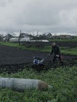 poster de Militantropos