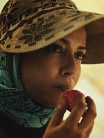 poster de Les Fraises