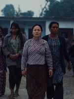 poster de Les Elephants dans la brume