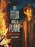 poster de Des Feux dans la Plaine