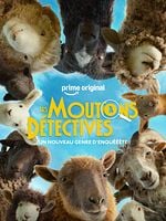 poster de Les Moutons Détectives