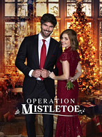 poster de Un baiser sous le gui