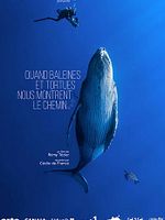 poster de Des baleines, des tortues et des hommes