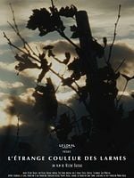 poster de L’Etrange couleur des larmes