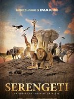 poster de Serengeti : un voyage au coeur de l'Afrique