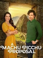 poster de Une demande en mariage à tout prix