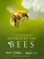 poster de Les Secrets des abeilles 