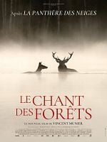 image de Le Chant des forêts Bande-annonce VF