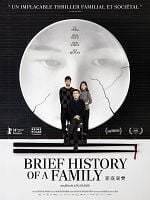 poster de Brief History of a Family