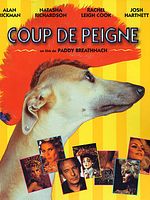 poster de Coup de peigne