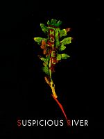 poster de Suspicious river
