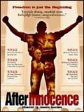 poster de After innocence