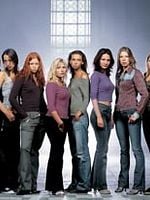 image de Matrioshki : le trafic de la honte