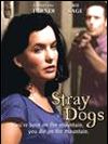 poster de Stray Dogs