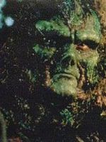 image de Swamp Thing