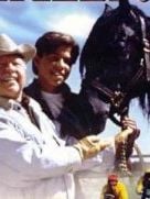 image de L'Etalon noir