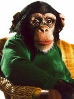 image de Charly la malice