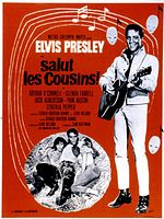 poster de Salut les cousins !