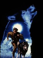 poster de Les Nouvelles Aventures de Croc-Blanc