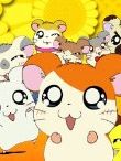 poster de Hamtaro - Petits Hamsters, Grandes Aventures