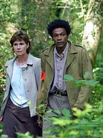 image de Ambre a disparu