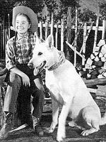 image de Corky and White Shadow