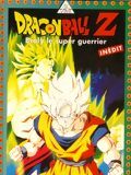 poster de Dragon Ball Z : Broly, le super guerrier