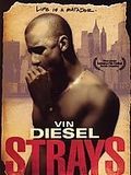 poster de Strays