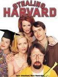 poster de Harvard à tout prix