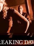 poster de Breaking Dawn