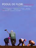 poster de Le Pont des fleurs