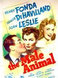 poster de The Male Animal