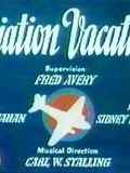 poster de Aviation Vacation