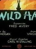 poster de A Wild Hare