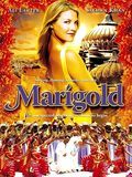 poster de Marigold