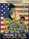 poster de Clash of the Ninjas