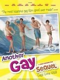 Another Gay Sequel: Gays Gone Wild!