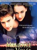 poster de La Mémoire volée