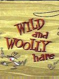 poster de Wild and Woolly Hare