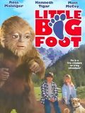 poster de La Légende de Bigfoot