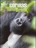 poster de Saving a Species : Gorillas on the Brink