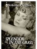 poster de Splendor in the Grass
