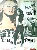 poster de La Chatte au fouet