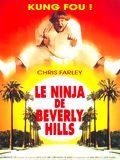 poster de Le Ninja de Beverly Hills