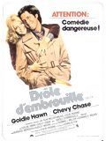 poster de Drôle d'embrouille