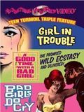 poster de A Good Time with a Bad Girl