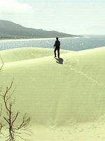 poster de April Showers