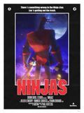 poster de Ninjas