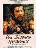 poster de Un Divorce heureux