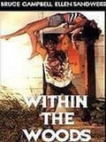 poster de Within the woods